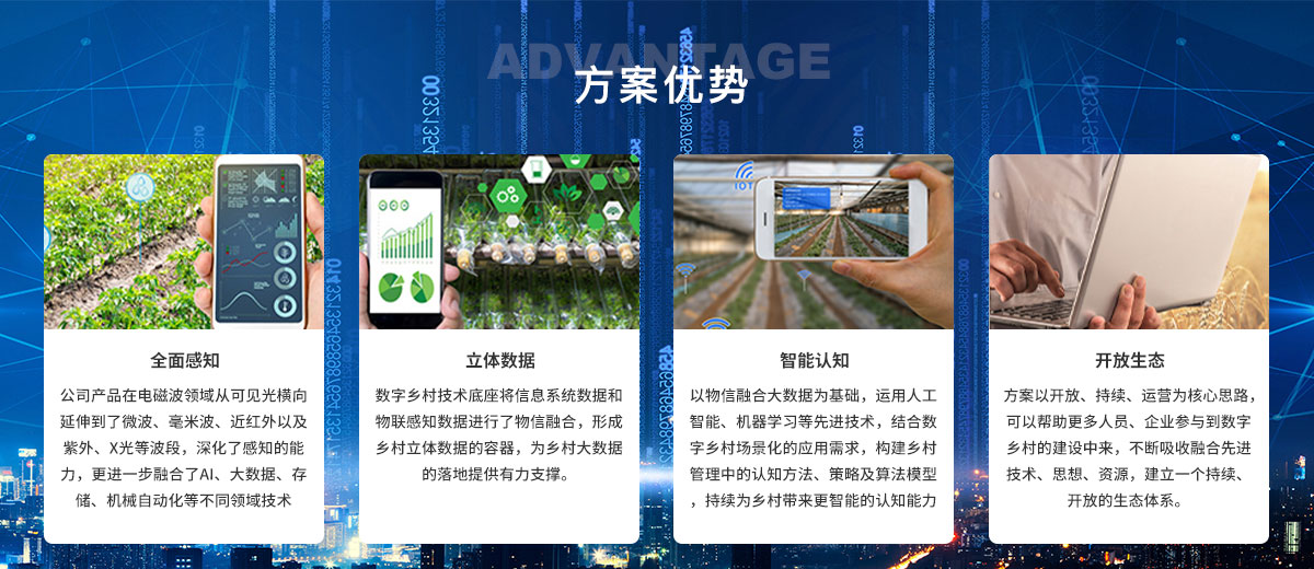 1数字乡村解决方案白皮书.jpg